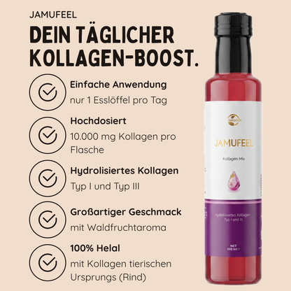 Kollagen Mix Typ I und III - 10.000 mg Kollagen