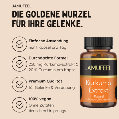 Kurkuma Extrakt Kapseln